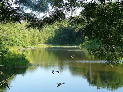 Scenic Lake