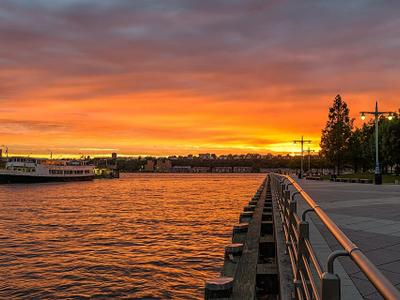 Pier 84 Dog Run
