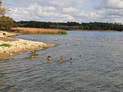 Lake Bastrop North Shore Park