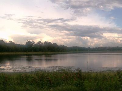 Bush Lake Park
