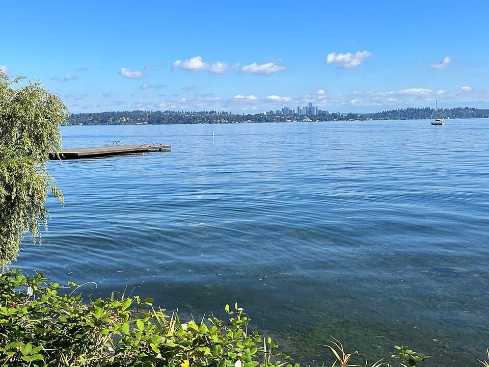 Lake Washington T Dock