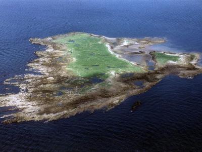 Horse Isles