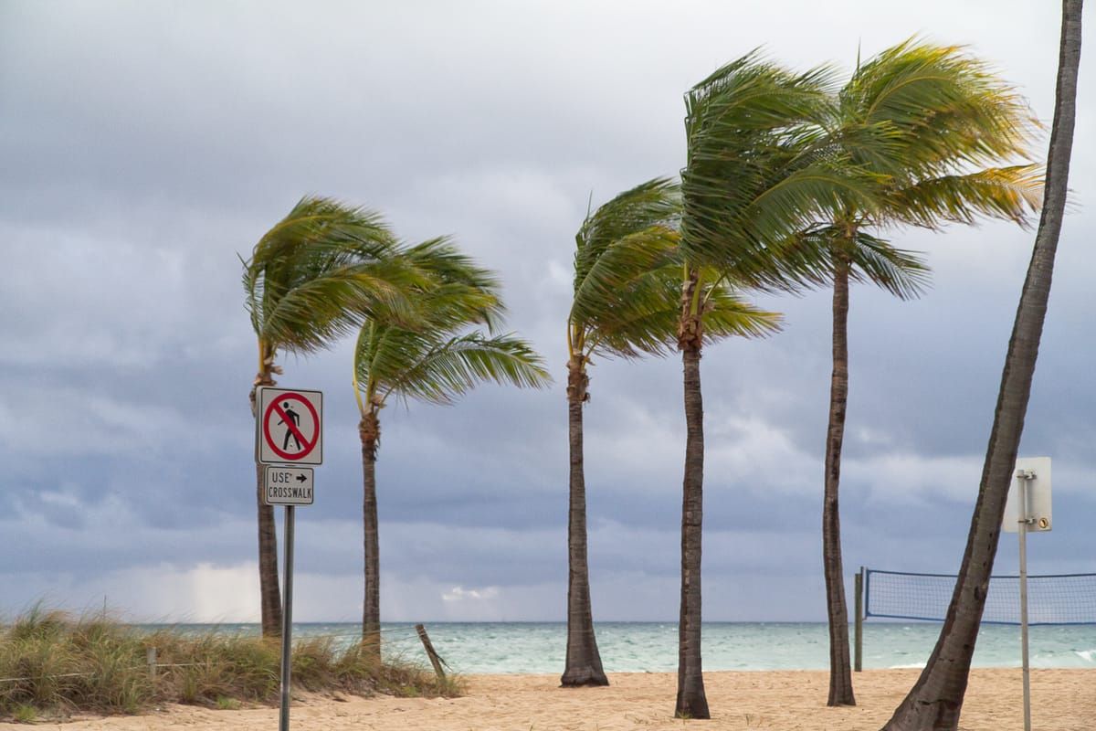 Fort Lauderdale Dog Beach