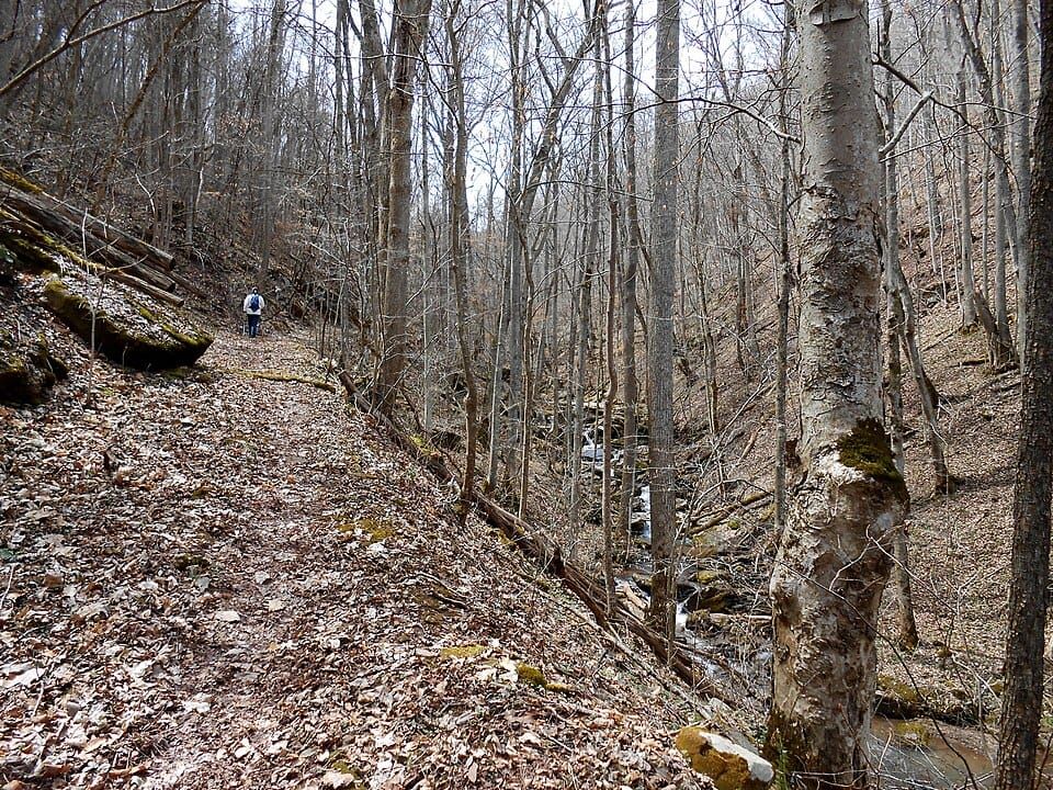 West Branch Cascade Creek