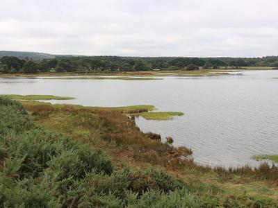 Brand's Bay