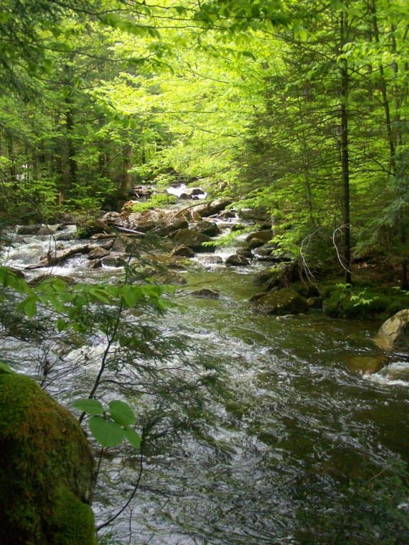 East Canada Creek