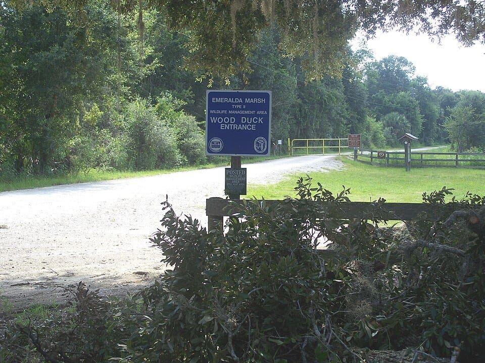Wood Duck Lake