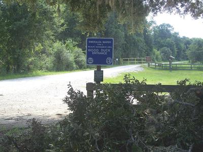 Wood Duck Lake