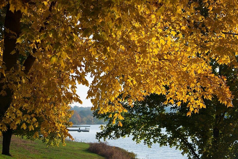 Small Lakes