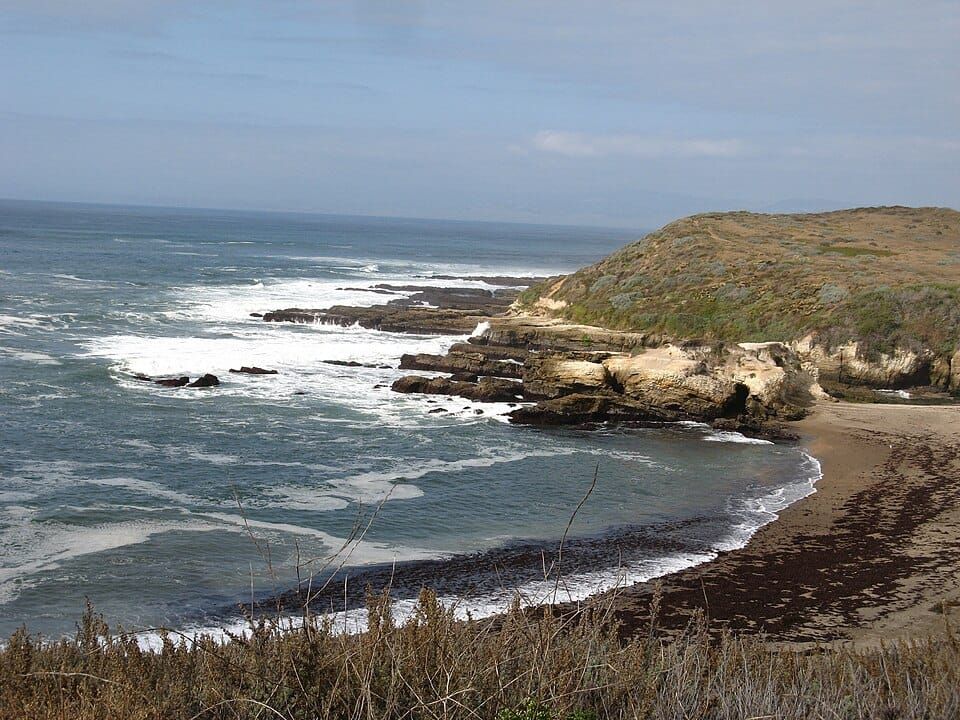 Spooner's Cove tidepools