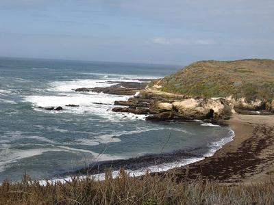 Spooner's Cove tidepools