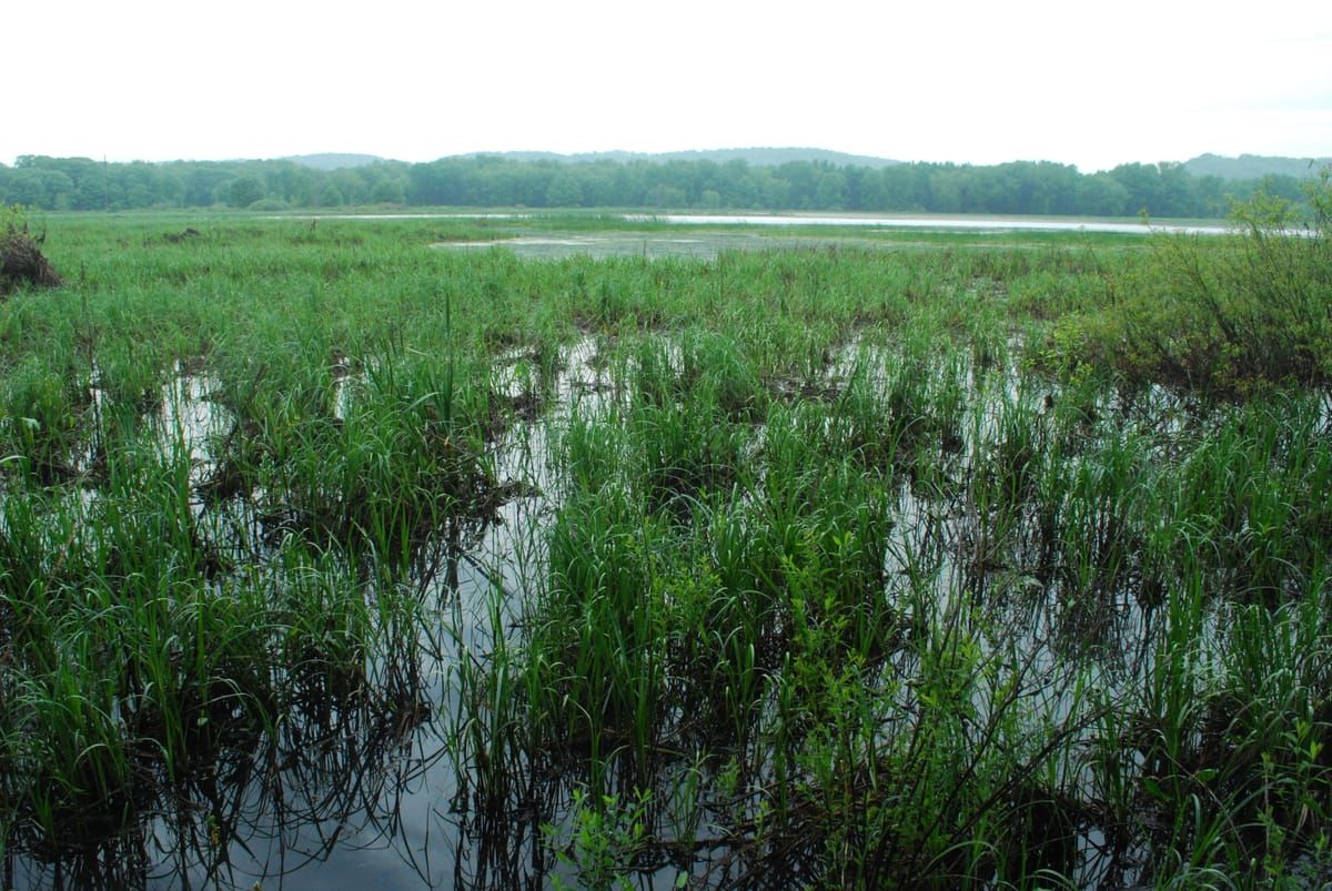 Woodman Lake