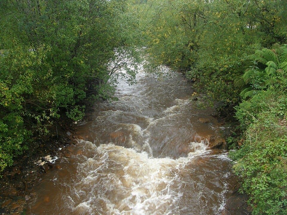 Queen River