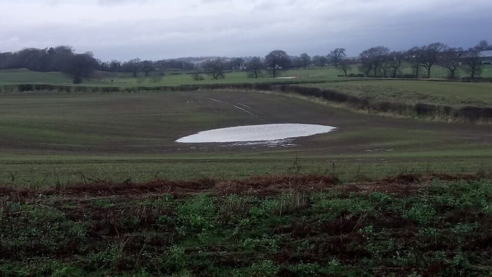 Puddle Pond