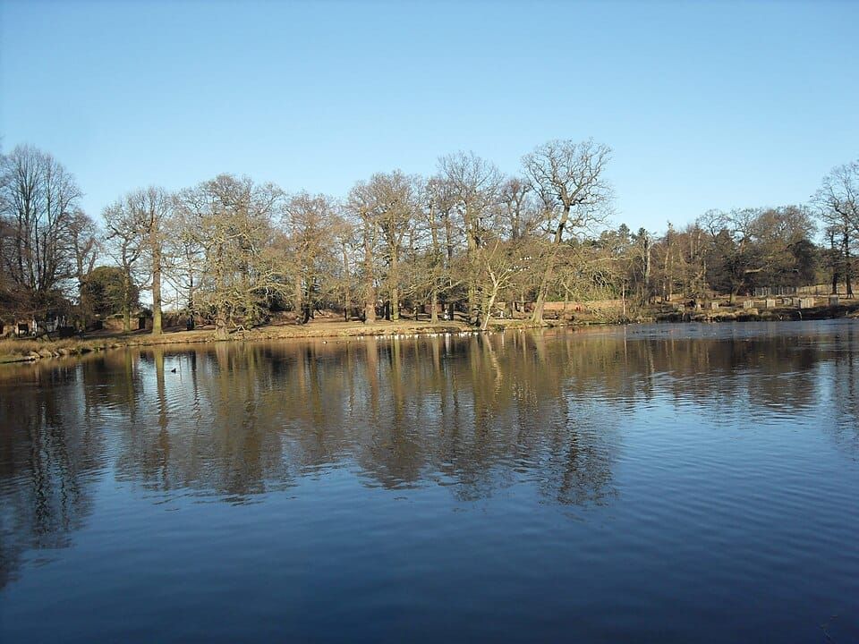 Dunham Pond