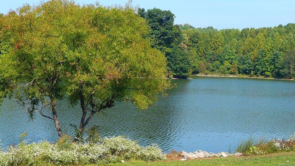 Centennial Lake