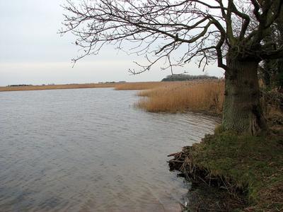 Martham Broad