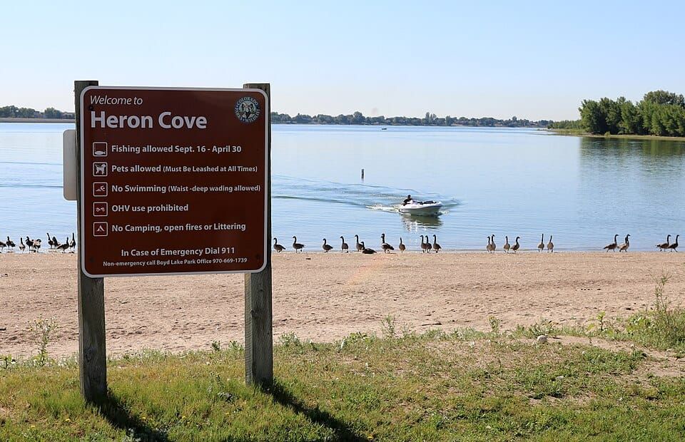 Boyd Lake Swim Beach