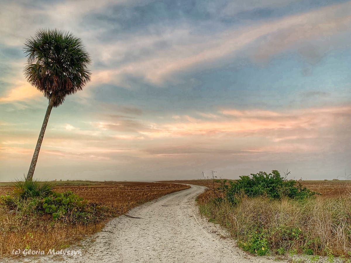 Treasure Island Beach