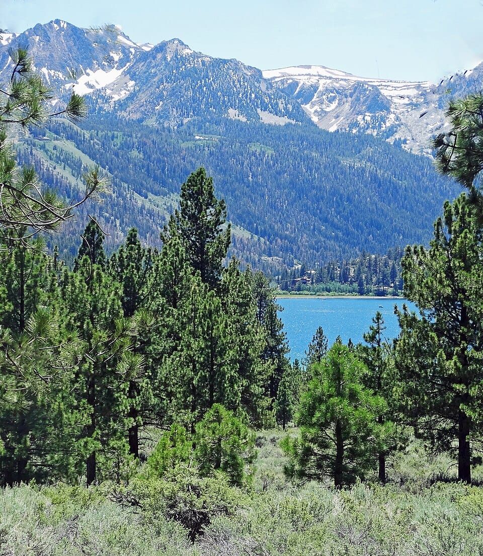 June Lake Beach