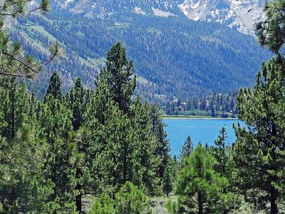 June Lake Beach