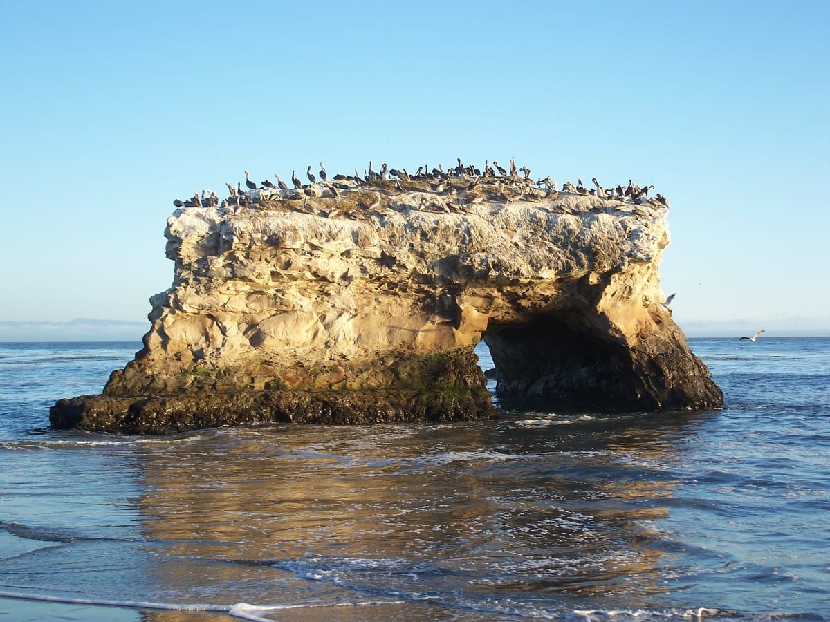 Natural Bridges State Beach