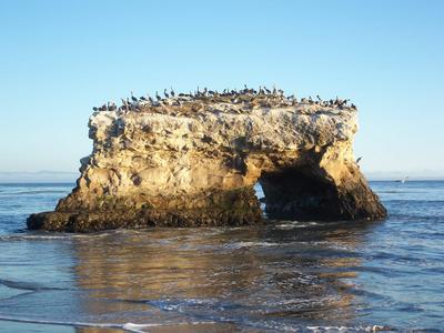 Natural Bridges State Beach