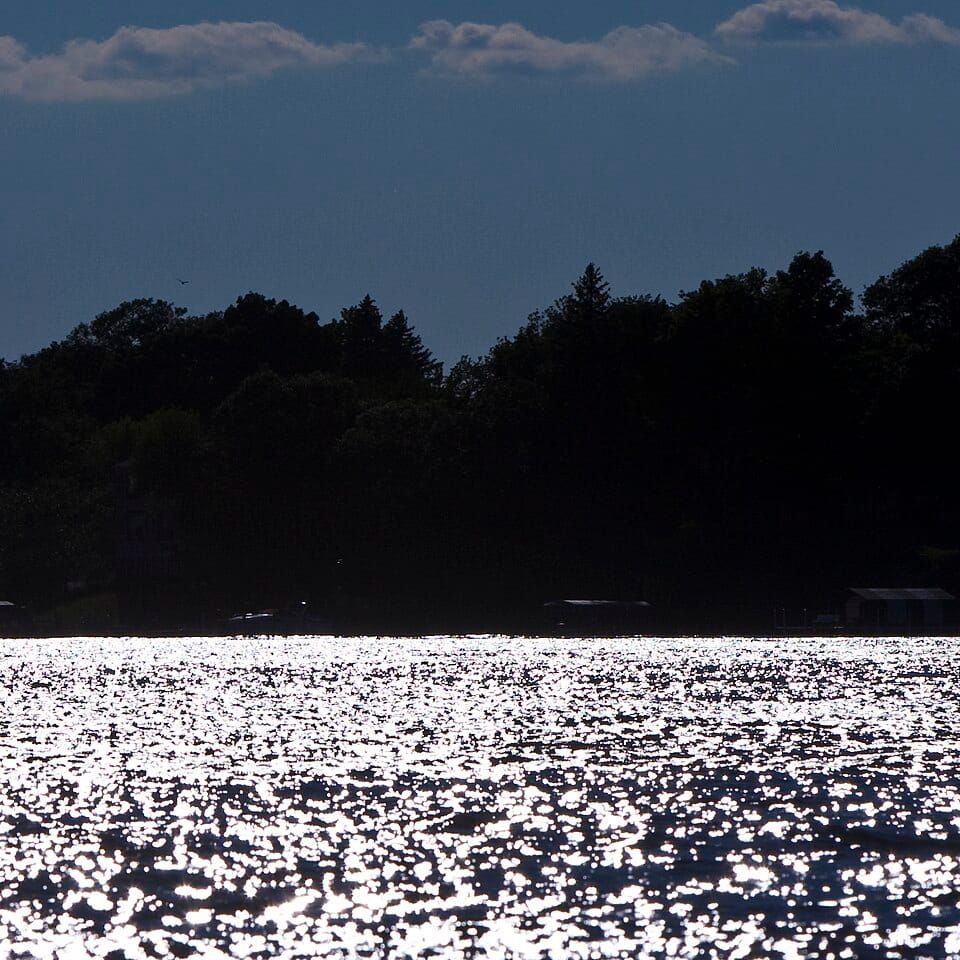 Forest Lake