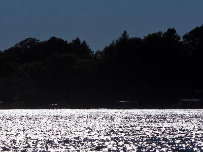 Forest Lake
