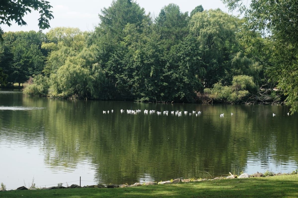 Lake Evinrude