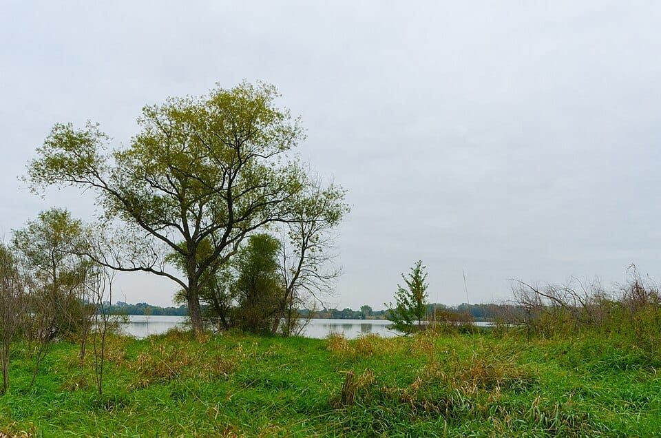 Chub Lake