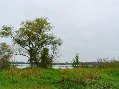 Chub Lake
