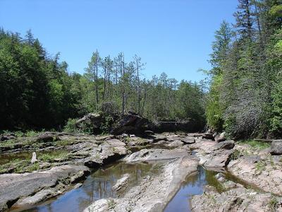 West Branch Rocky River