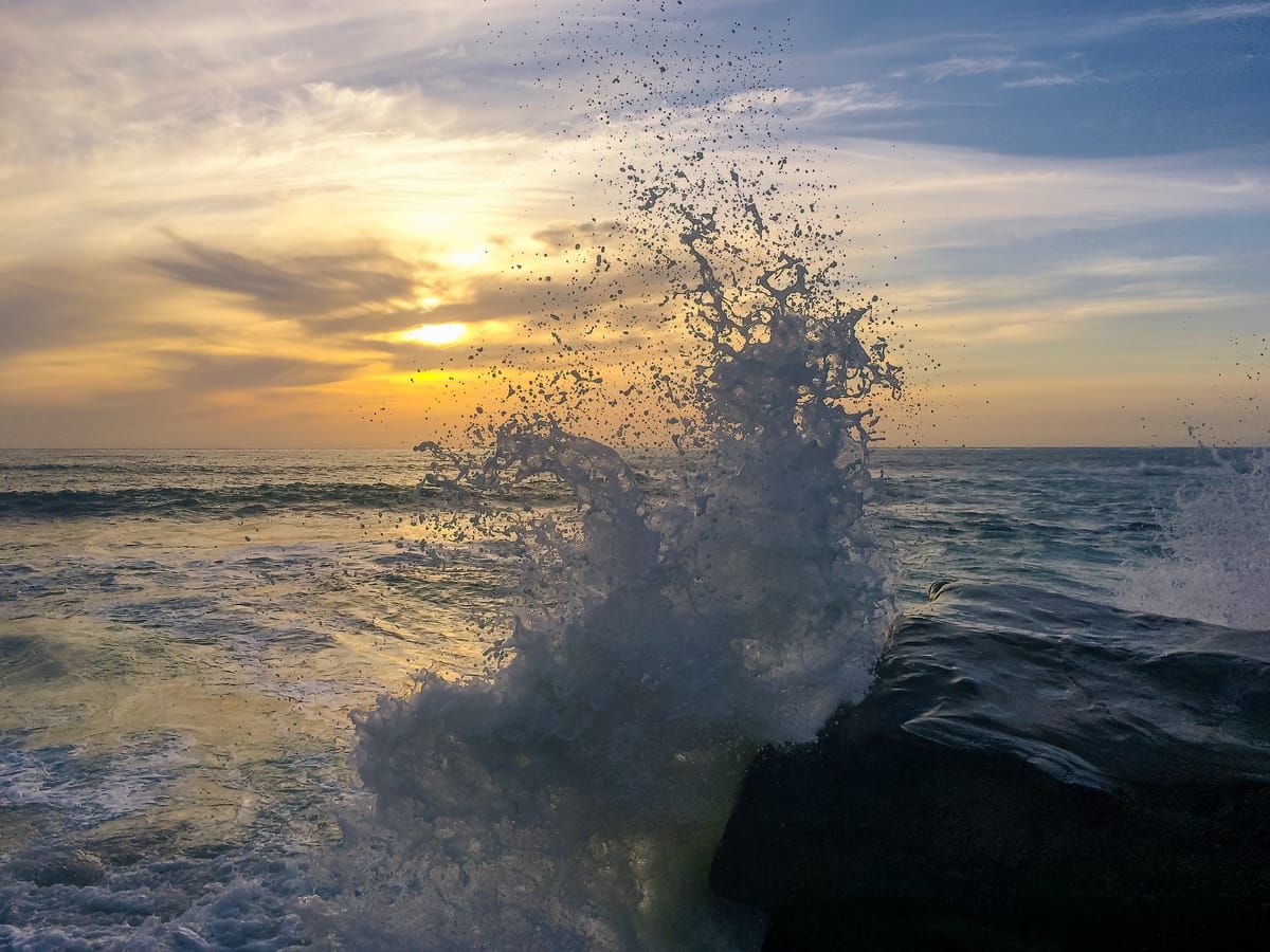 Windansea Park