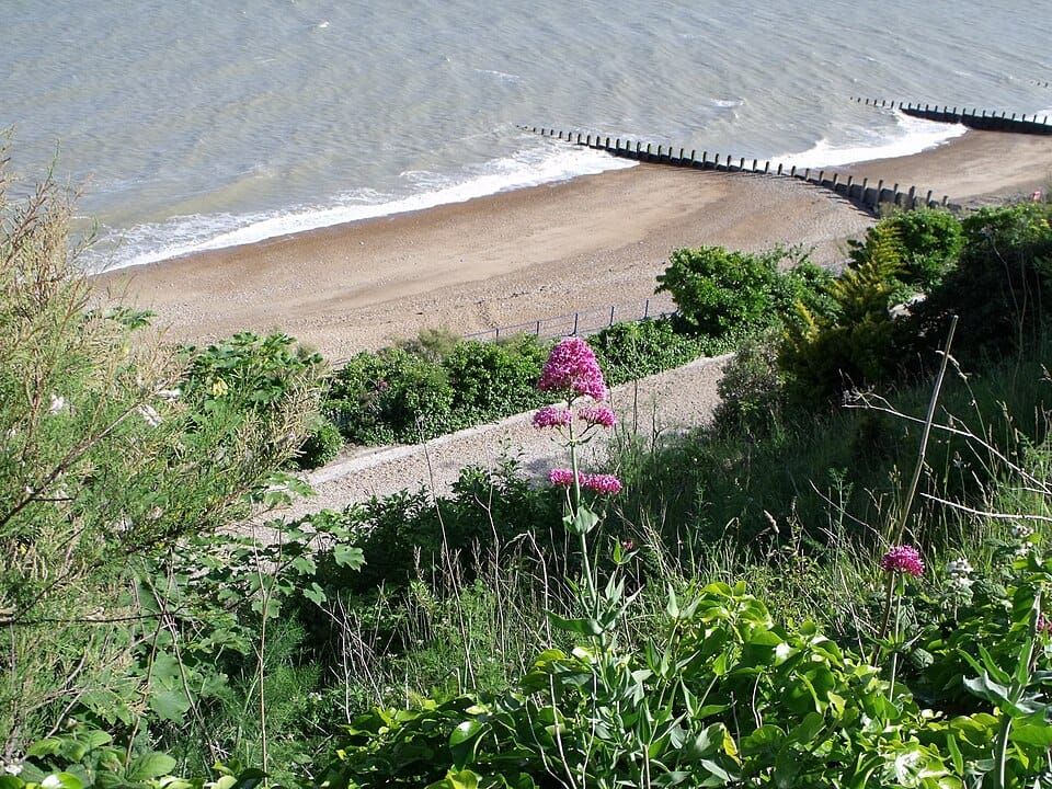 Edwards Beach