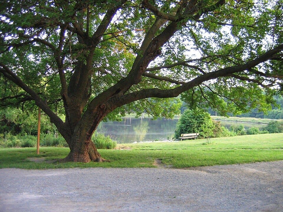Greenbelt Lake