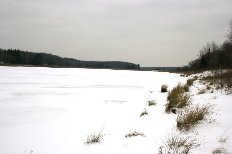 Bradys Lake