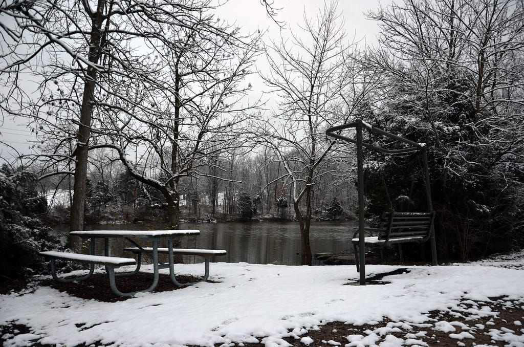 McNeely Lake Park