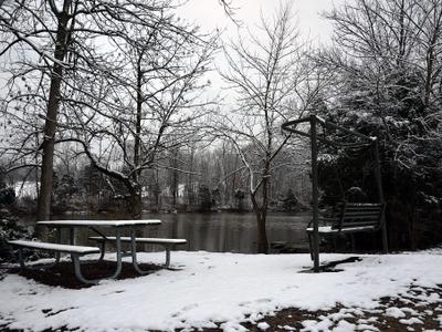 McNeely Lake Park