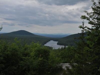 Martins Pond