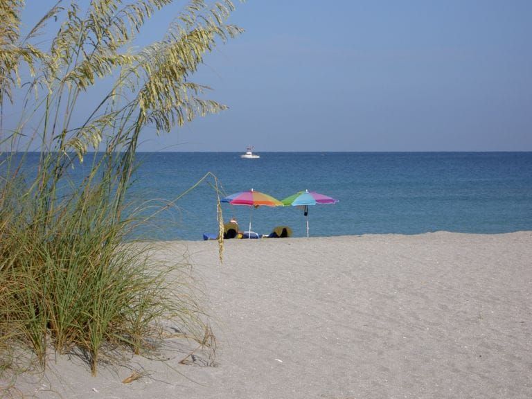 Paw Park Beach