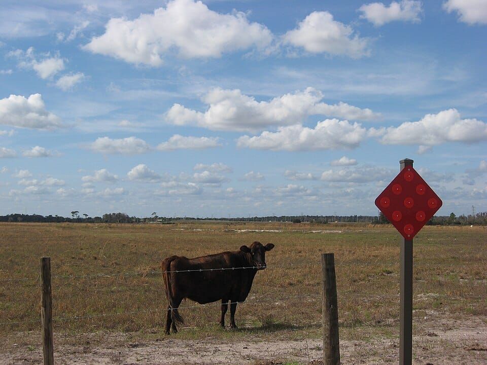 Lake Nona Beach