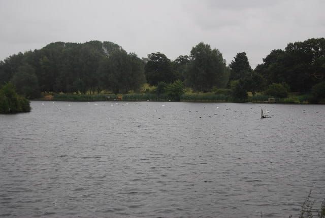 Trimley Shores