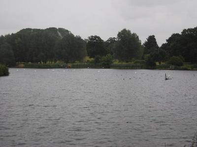 Trimley Shores