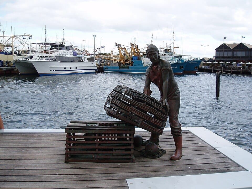 The Jetty