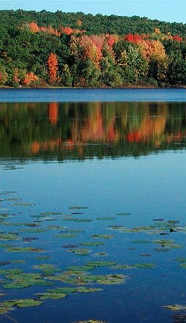 Little Cedar Lake
