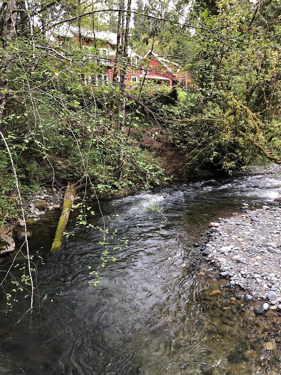 Raging River