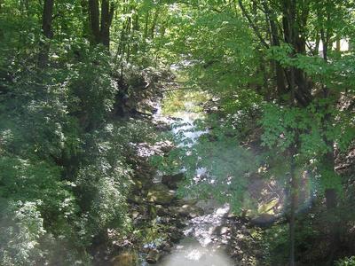 Olmsted Falls East River Park
