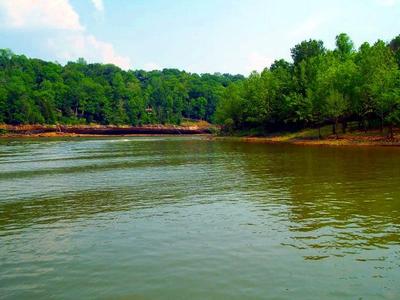 Rough River Lake