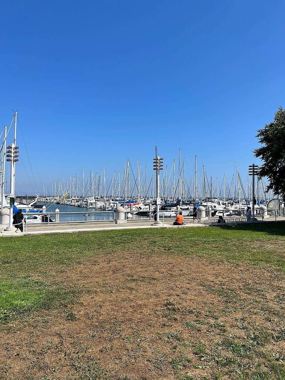 South Beach Harbor
